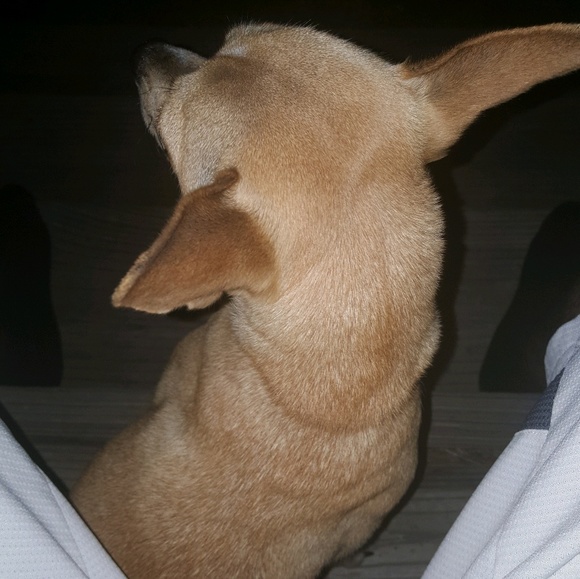 emilio2149
